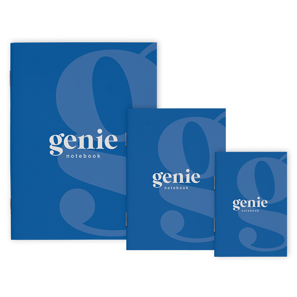 genie Notebooks
